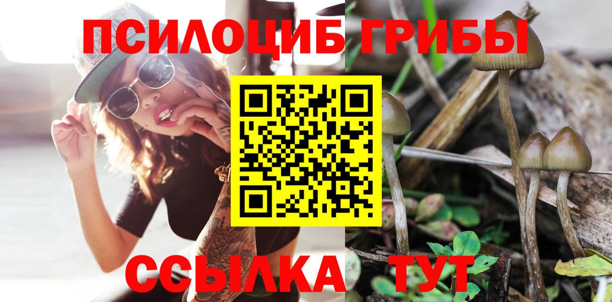 Арсеньев  Галлюциногенные грибы MAGIC MUSHROOMS  Вход с VPN  купить   Галлюциногенные грибы прущие грибы 