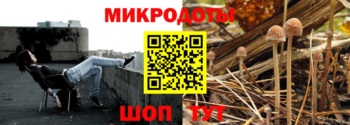 Псилоцибиновые грибы мицелий Арсеньев